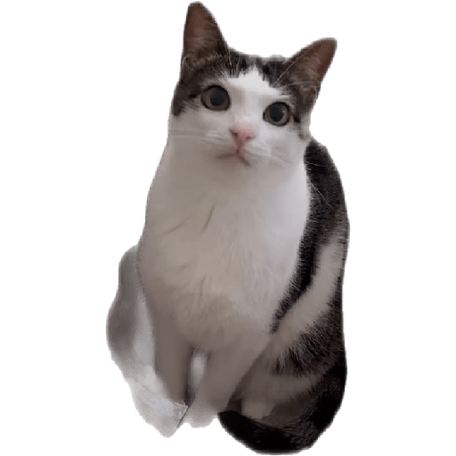Stickers 27