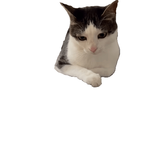 Stickers 7