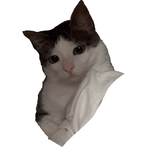 Stickers 8