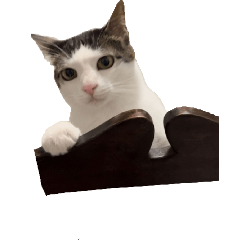 Stickers 11