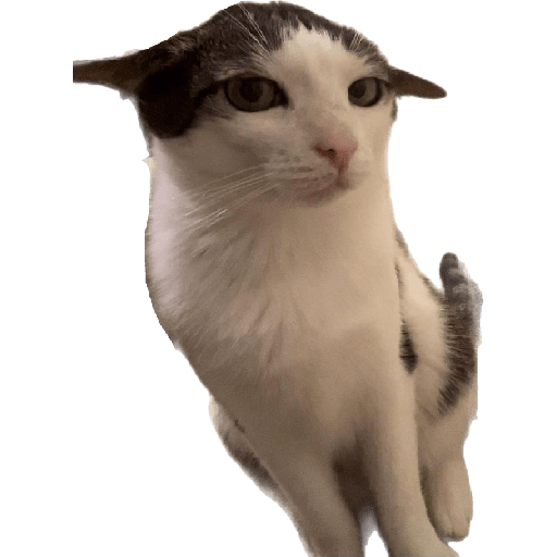 Stickers 28