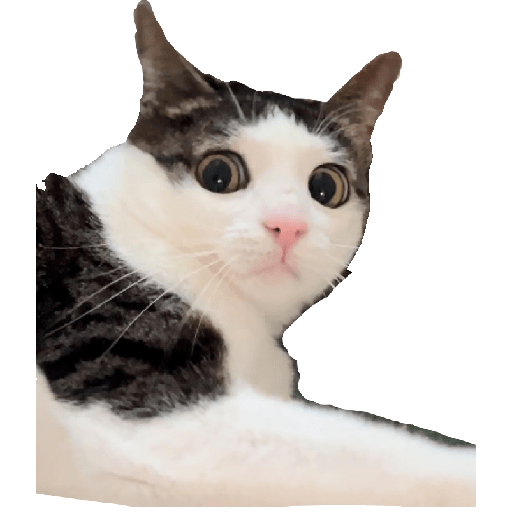 Stickers 5