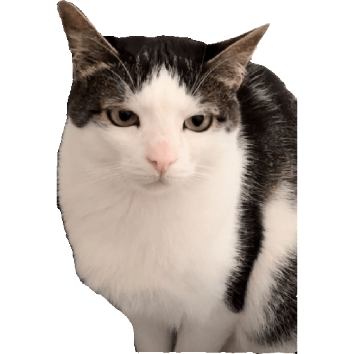 Stickers 12