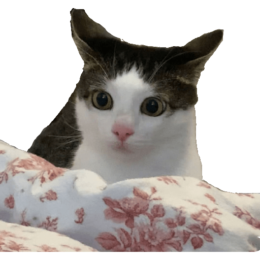 Stickers 16