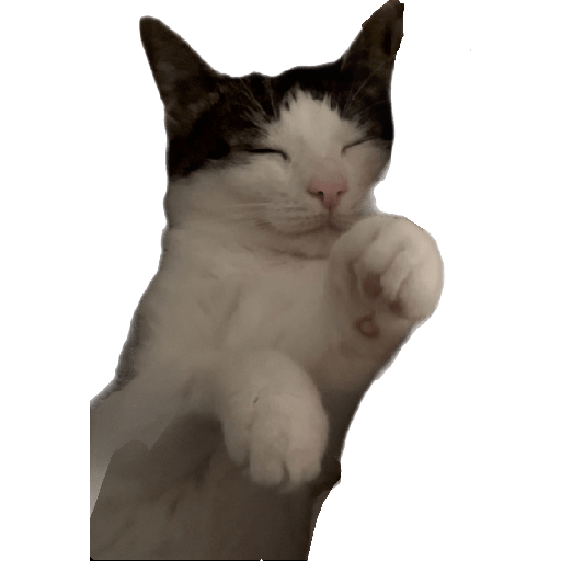 Stickers 22