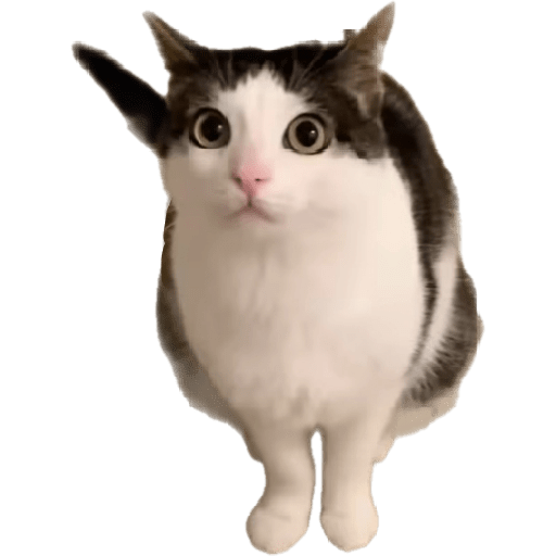Stickers 23