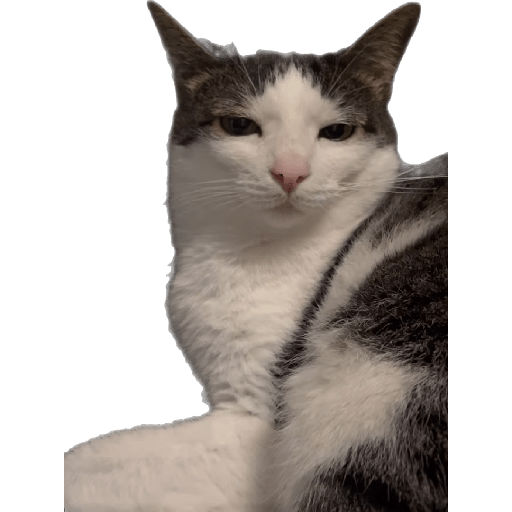 Stickers 24