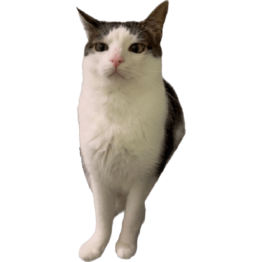 Stickers 25