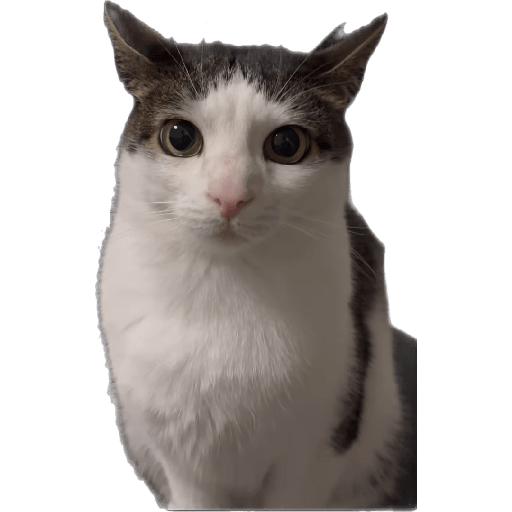 Stickers 26