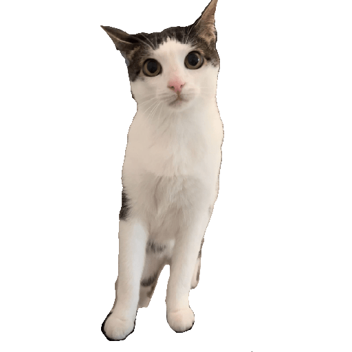 Stickers 10