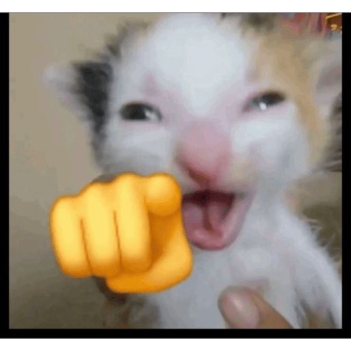 Xdxd 23