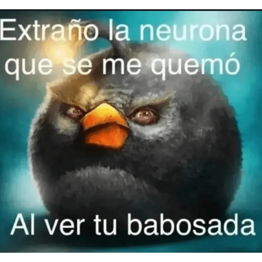 Xdxd 3
