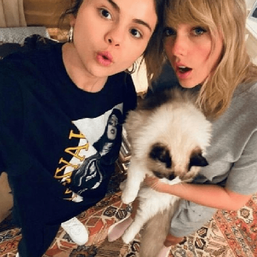 Taylor  5