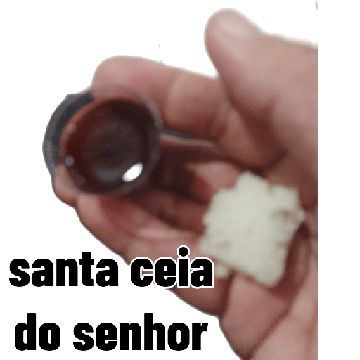 Minhas figurinhas 13