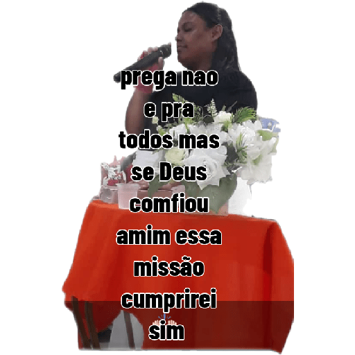 Minhas figurinhas 11