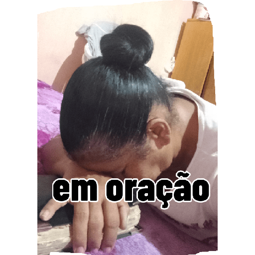 Minhas figurinhas 10