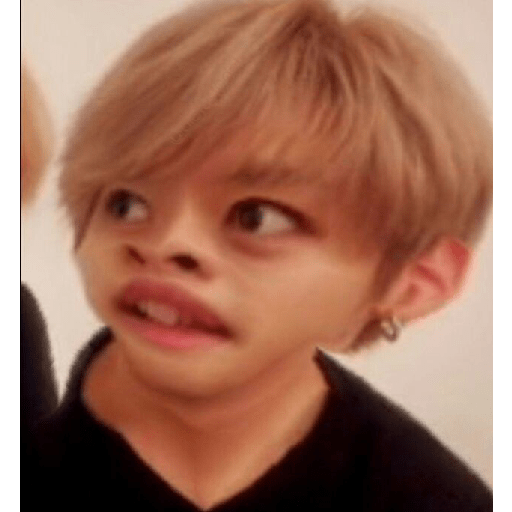 Stray kids funny 5