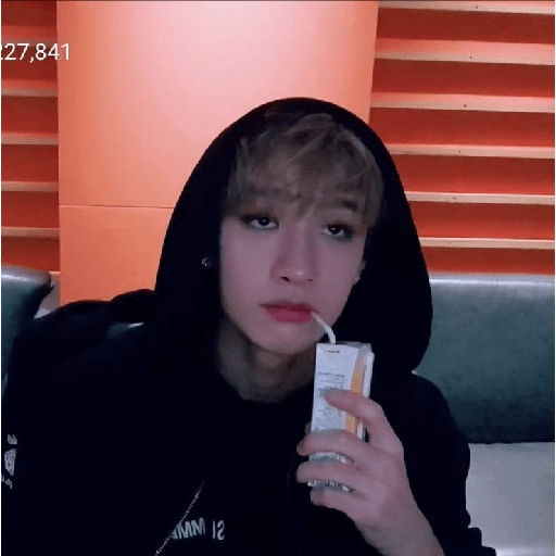 Stray kids funny 13