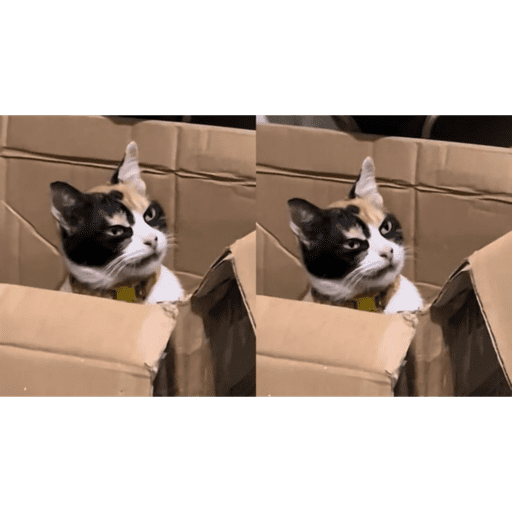 Iya