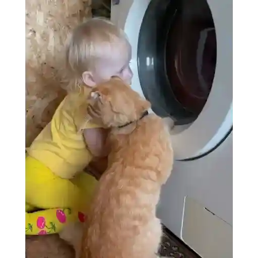 Baby gif❤ 6