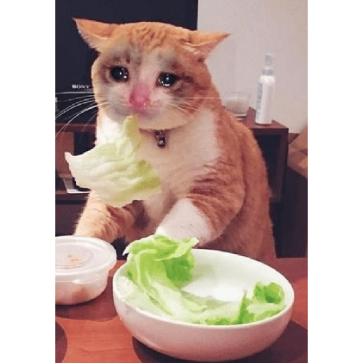 Aaaaahhhhh 16