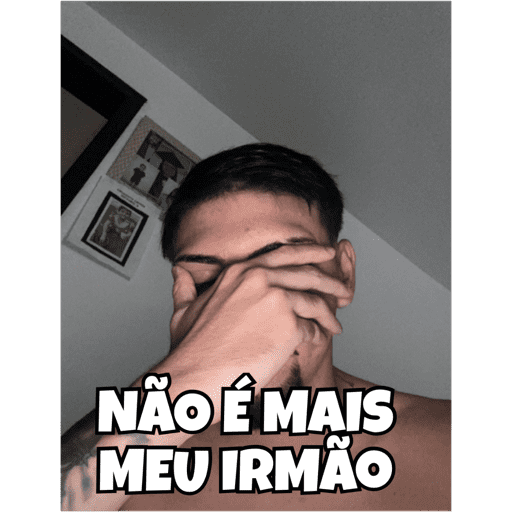 Minhas figurinhas 5