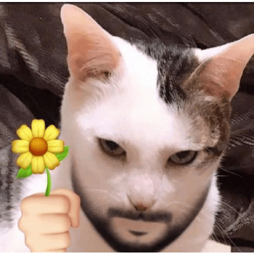 Aaa