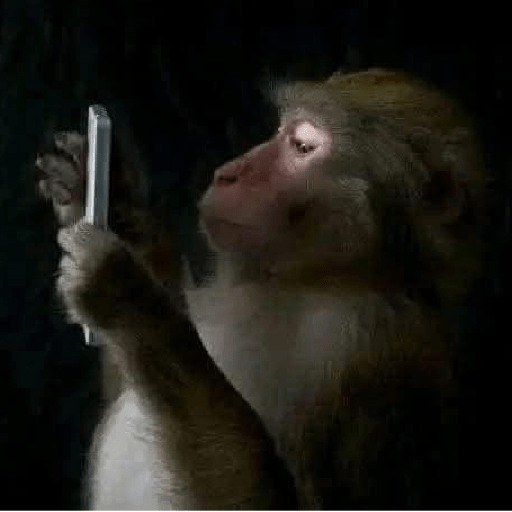 Monos  ⸺ 𝜗ৎ  14