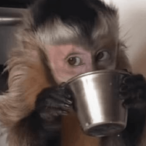 Monos  ⸺ 𝜗ৎ  12