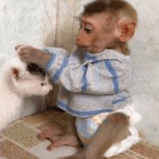 Monos  ⸺ 𝜗ৎ  6