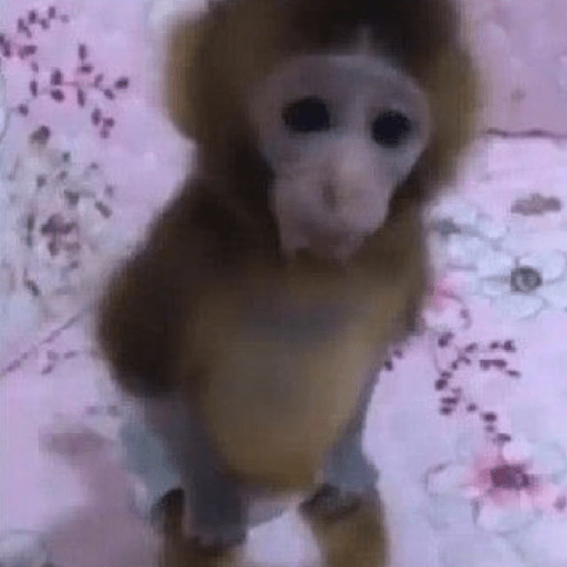 Monos  ⸺ 𝜗ৎ  4