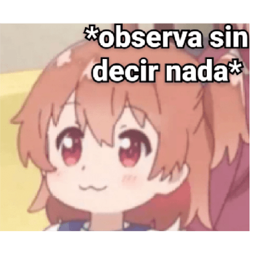 XD nott 13