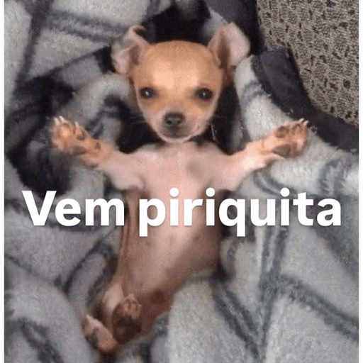 Vai tomando 23