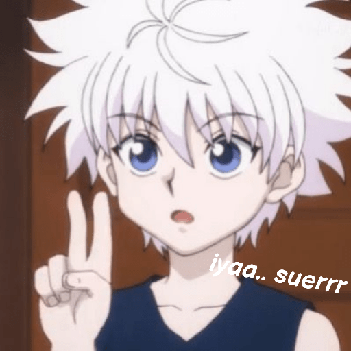 Ayng killua 12