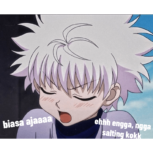 Ayng killua 9