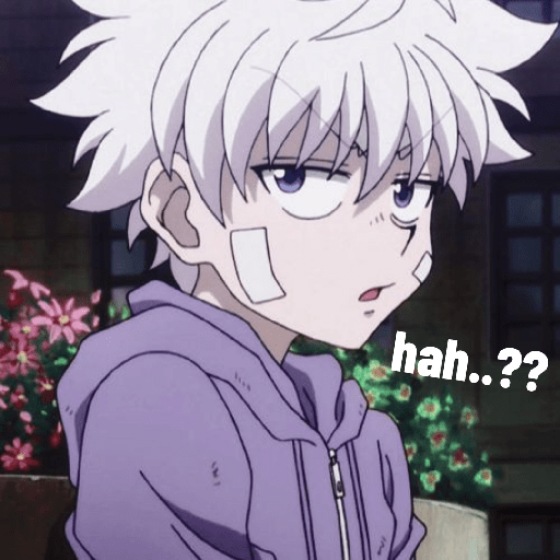 Ayng killua 10