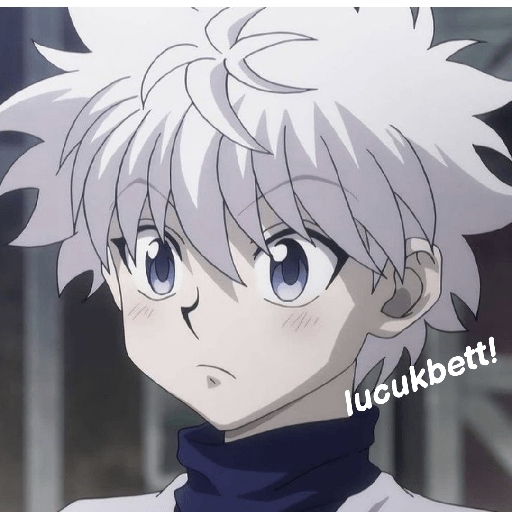 Ayng killua 13