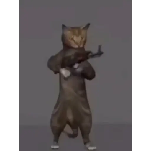 ;____; 3
