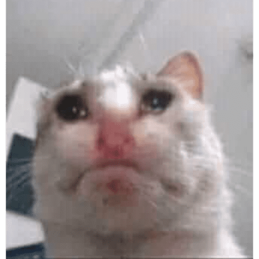 Aaaa 5