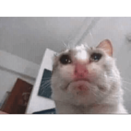 Aaaa 4