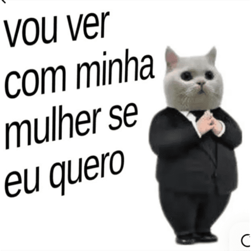Minhas figurinhas 10