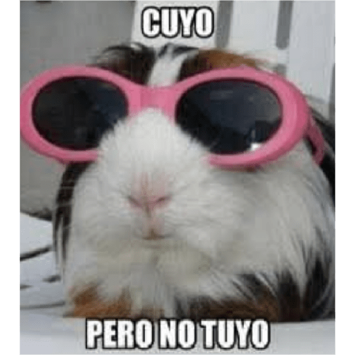 Mis pegatinas 21