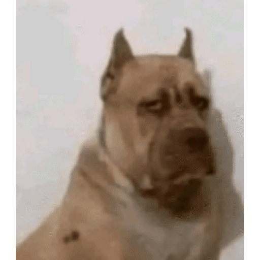 Shitpost 13