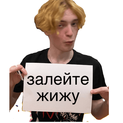 кисы