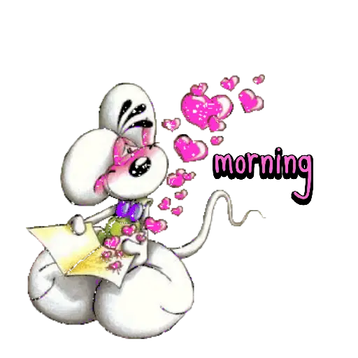 Buongiorno 13