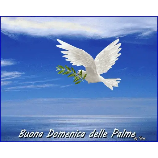 Buongiorno 21