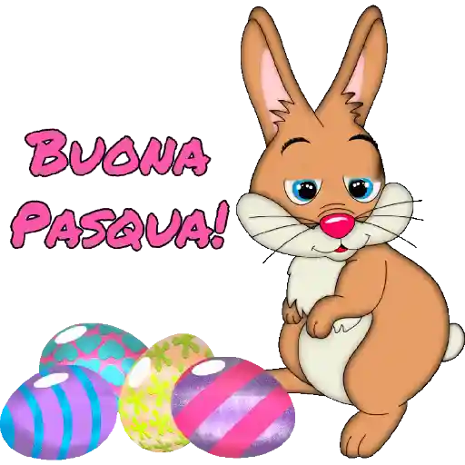 Buongiorno 8