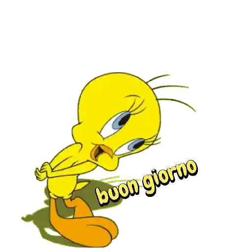 Buongiorno 16
