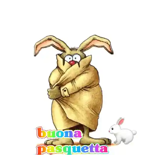 Buongiorno 26
