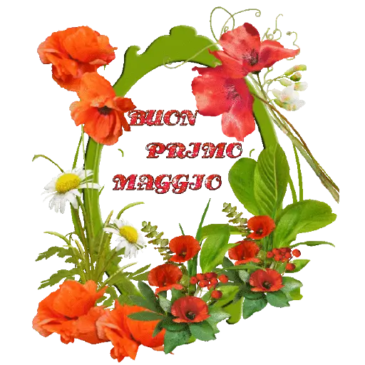 Buongiorno 28